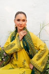 Haneen